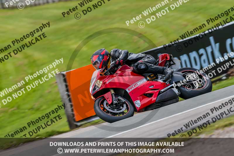 Oulton Park 20th March 2020;PJ Motorsport Photography 2020;anglesey;brands hatch;cadwell park;croft;donington park;enduro digital images;event digital images;eventdigitalimages;mallory;no limits;oulton park;peter wileman photography;racing digital images;silverstone;snetterton;trackday digital images;trackday photos;vmcc banbury run;welsh 2 day enduro